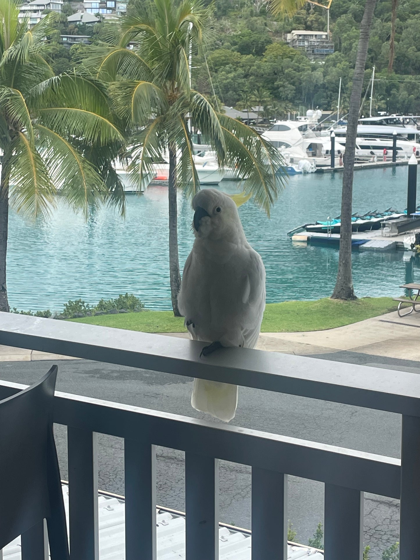 Whitsunday Tropical Escape Adventure 2026 Deposit (per person)