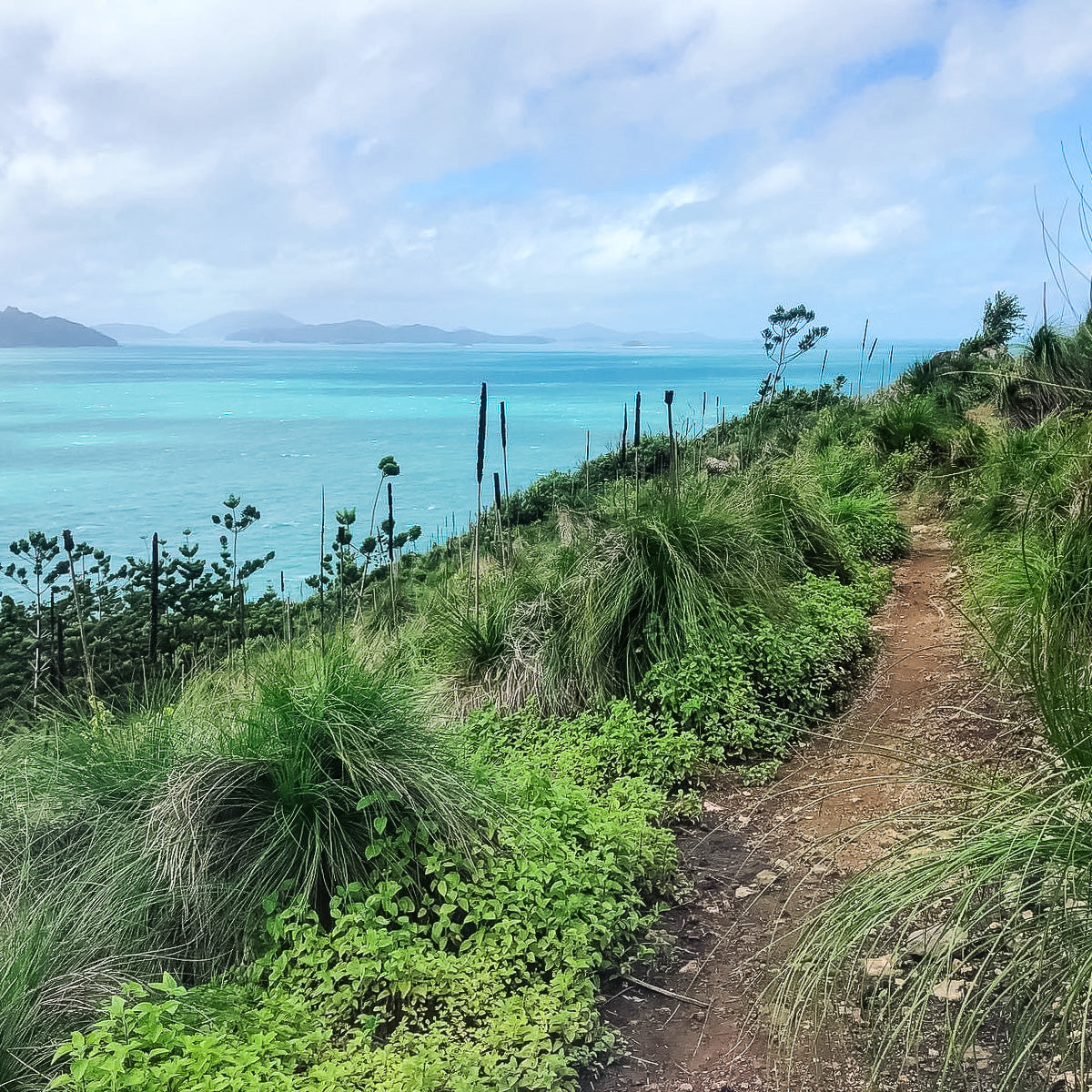 Whitsunday Tropical Escape Adventure 2026 Deposit (per person)