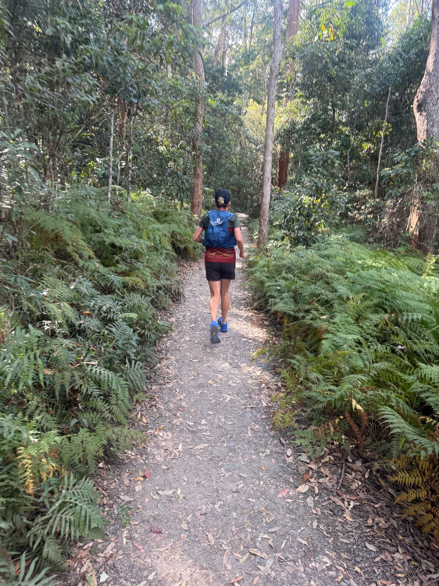 Mapleton NP Overnight Fast Packing Adventure