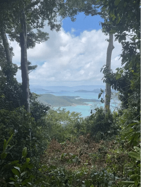 Whitsunday Tropical Hiking Adventure 2026 (per person)